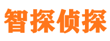 调兵山外遇出轨调查取证